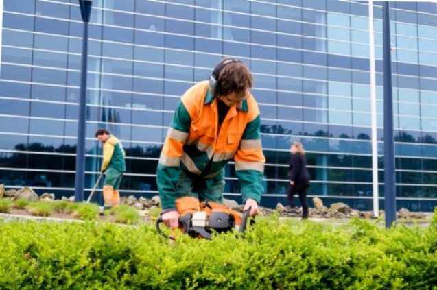 Vorming ecologische groenaanleg op bedrijventerreinen